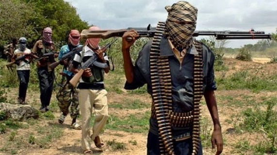 Nigerian Govt and Boko Haram | ozara gossip